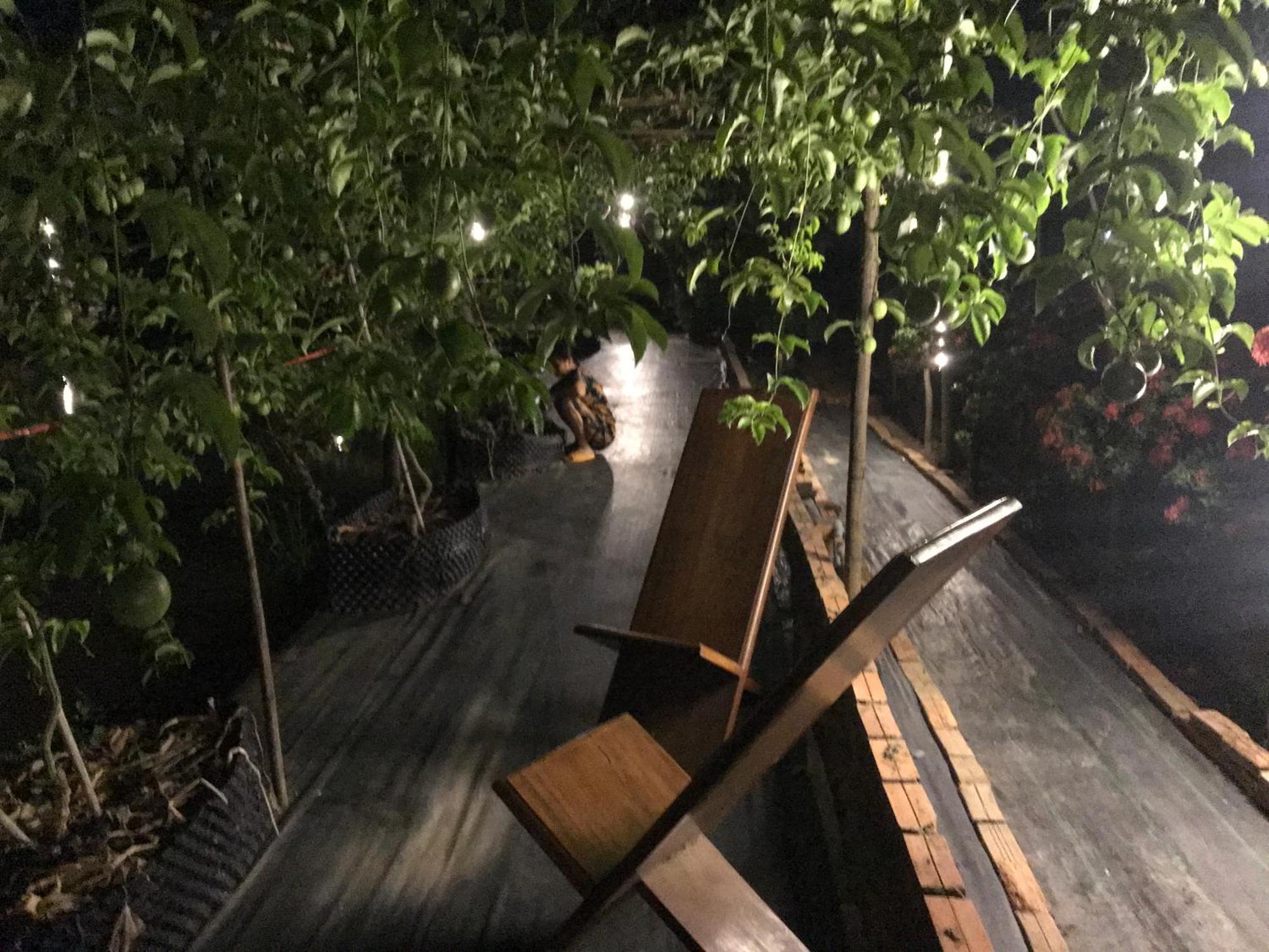 Maison en Bambou Phong-Le Vent Sa Dec Ngoại thất bức ảnh