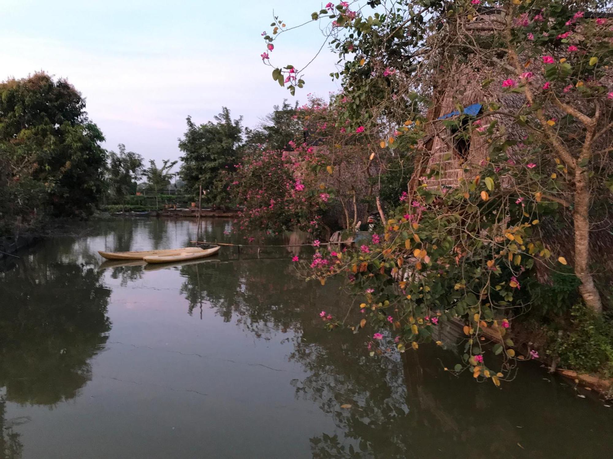Maison en Bambou Phong-Le Vent Sa Dec Ngoại thất bức ảnh